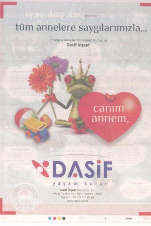 dasif-basin-4